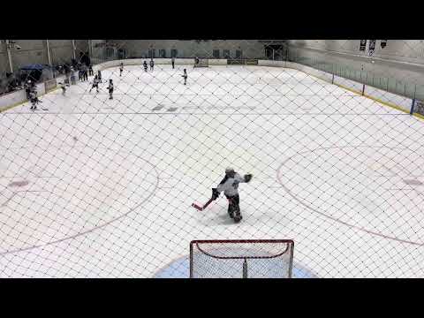 Ice Dogs 10U White vs Bedford Bears 3rd Period 01192025