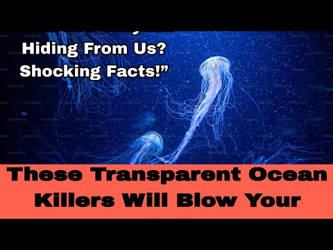 You Won’t Believe How Jellyfish Rule the Ocean!”