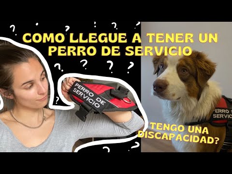 Tengo un perro de servicio psiquiátrico