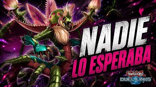 El MEJOR DECK de YURI REGRESÓ… y es MEJOR de lo que PENSAMOS en Yu-Gi-Oh Duel Links