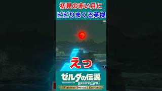 初めて見た赤い月にビビり散らかす英傑【ゼルダの伝説 ブレス オブ ザ ワイルド】#Shorts