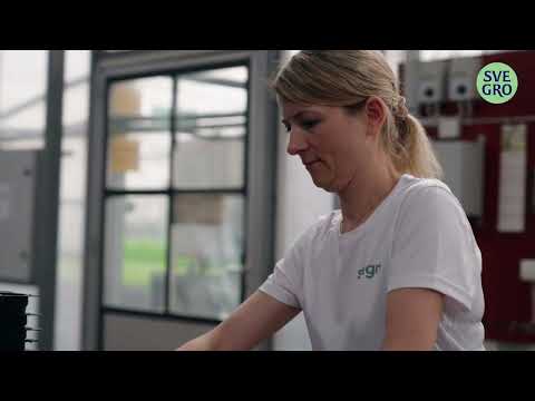 Hej Hortonom | Sålinjen