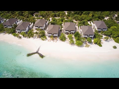Videos del Robinson Noonu 5★ en Manadhoo, MaldivasVer MásVerPrecios20CerrarConsulta por Whatsapp 🇦🇷BookingTripadvisorExpediaAgodaTravelocityOrbitzPricelineTripSkyscannerDespegarKayakHotelesDestiniaTrivagoAlmundoLastminuteHotwireCheapticketsTuiWotif