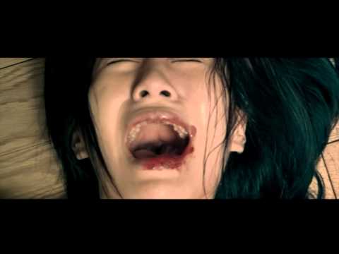 DREAM HOME - Conseil n°2 : la plomberie