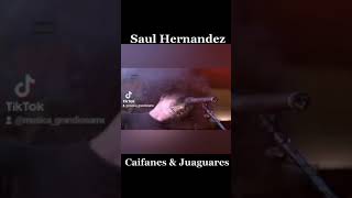 Que le paso a la voz de Saul Hernandez ?? 🤔 #saulhernandez #caifanes