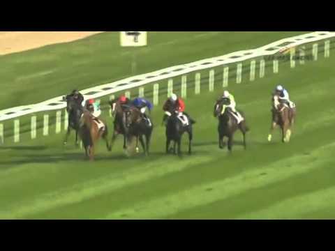 09.06.2014 Köln 7.Rennen GP von Engel & Völkers 2014 - Listenrennen (A) 1.600 m