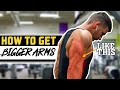 Arm Workout | EP: 3 | How to Exercise |