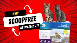 Picking up the NEW Petsafe ScoopFree Classic at Walmart!