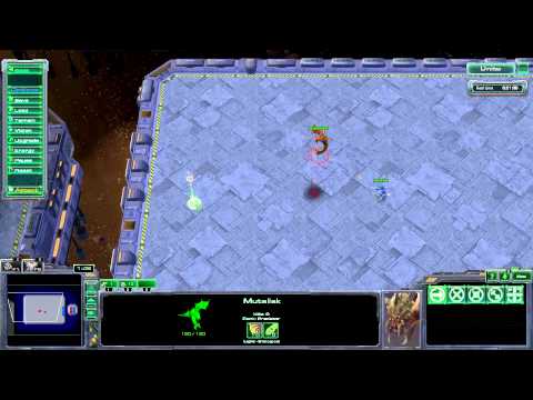 Starcraft 2 HotS Flying Unit Micro