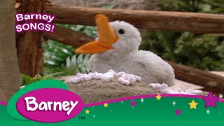 Barney|SONGS|Quack, Quack, QUACK!