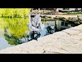 4K Video Pigeon Fly Slow Motion RMR Channel 9