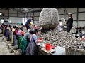Excellent Korean Mass Production and Manufacturing Process Video
