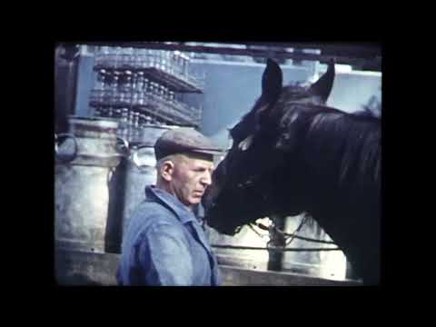 Jaren 60: Zuidwolde in kleur