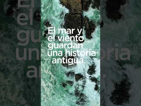 Las mujeres se rebelan en 'Punto de araña', el debut en la novela de Nerea Pallares