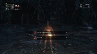Bloodborne®_聖杯アメンドーズ　貧者マラソンの思い出