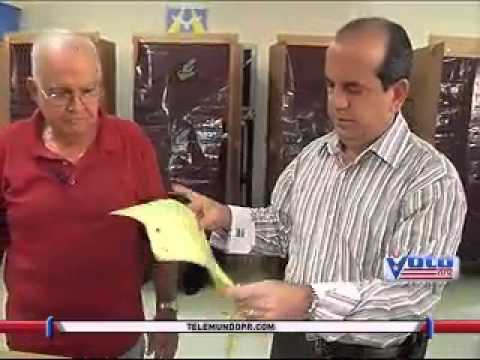 Voto2012 Anibal Acevedo Vila Vota