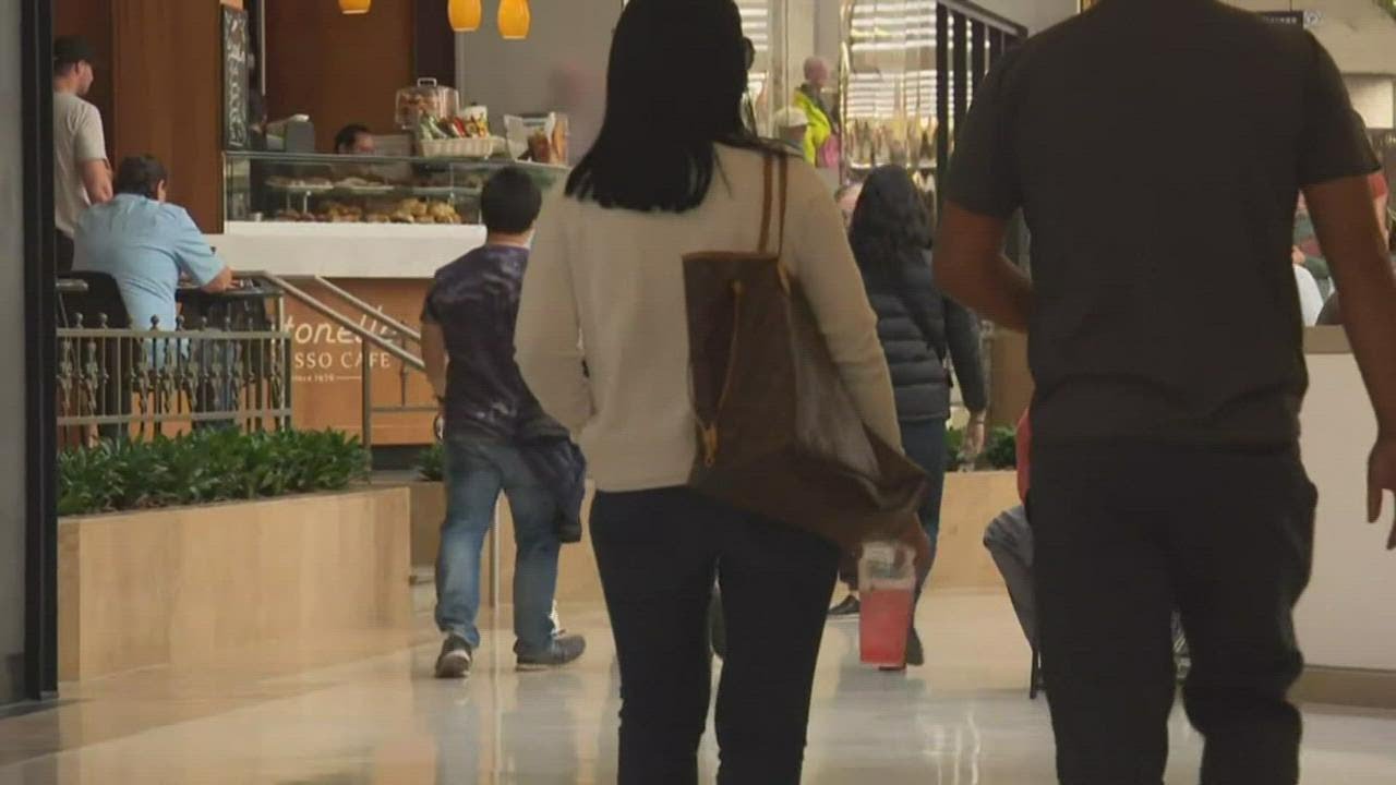 Despite historic inflation, holiday shopping after Thanksgiving expected to break records