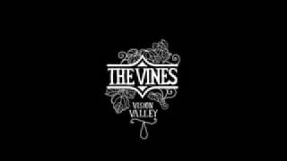 The Vines - Vision Valley - Gross Out