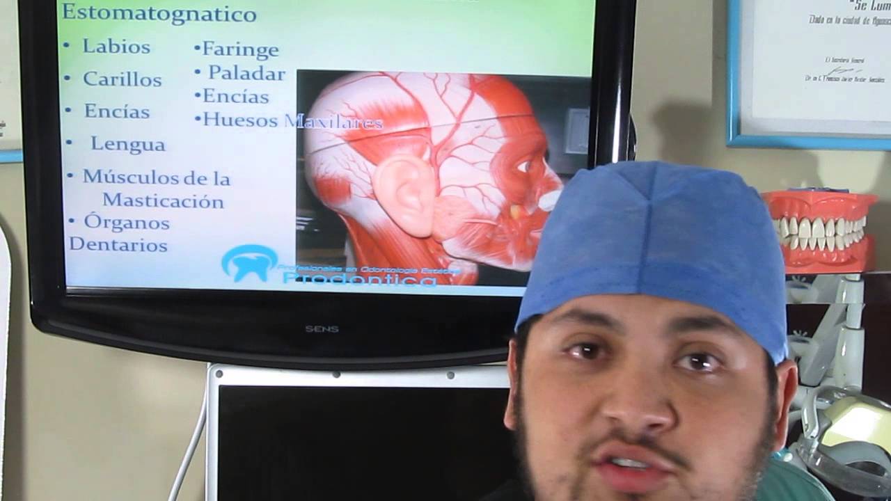 Watch El Dentista o Medico Estomatologo Now El Dentista o Medico Estomatologo