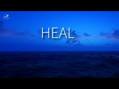 Witness21  2024 11 09