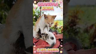 Download lagu Grandma Roda Still Breastfeeding Her Grand-Babies?! 🥹❤️ mp3