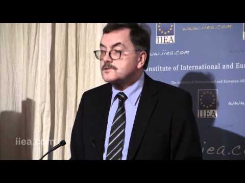 Economic Adjustment in a Monetary Union (2011)