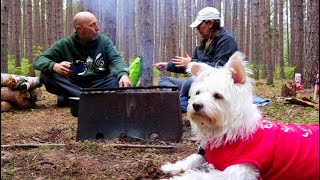 Late Summer Backpack Camping in Magical Forest With Dog