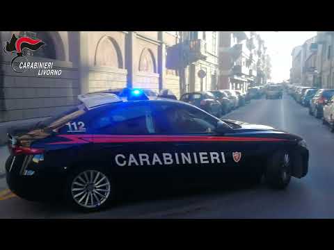 L'indagine dei carabinieri