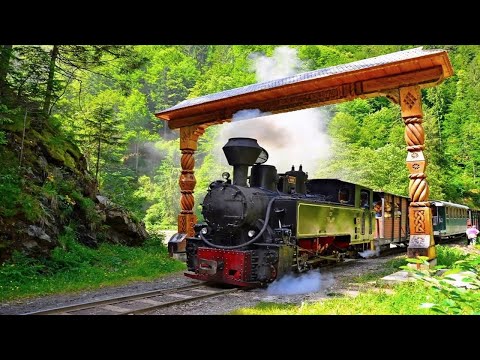 Mocanita Maramures (Valea Vaserului)