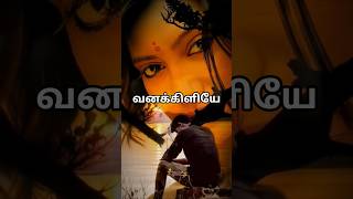 Download lagu Some kind of passion mp3 Download lagu Some kind of passion mp3