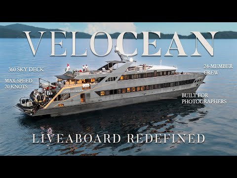 Indonesia's LUXURY Liveaboard // All Star's Velocean Liveaboard