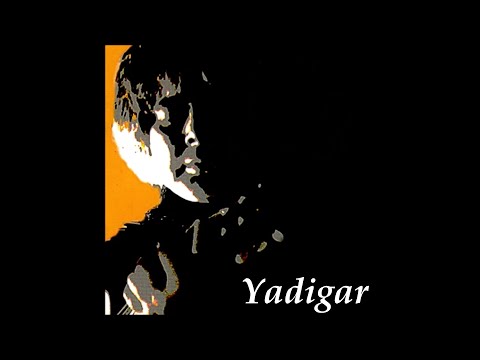 Boyalı Kuş - Yadigar (Fikret Kızılok Cover)