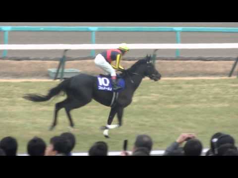 【2014.12.28】中山１０R　第５８回有馬記念（ＧＩ）本馬場入場