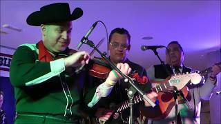 Big Sandy &amp; his Fly - Rite Boys - Juiced -  HIGHTONE  RECORDS -