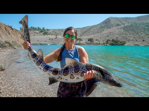 LEOPARD SHARK! Catch, Clean & Cook! Camping on Catalina Island, California!