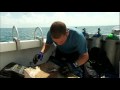 Venom Hunter Lion Fish