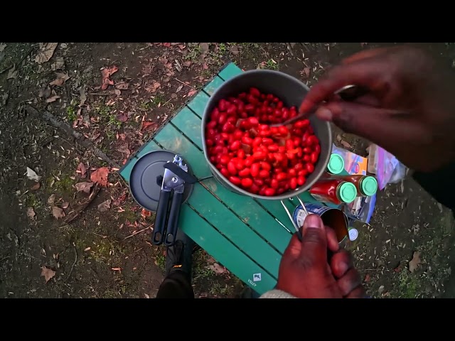 Judge.me YouTube video placeholder