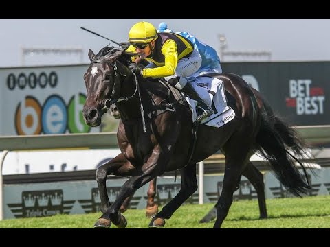 CARTIER PADDOCK STAKES GR1: SUMMER PUDDING
