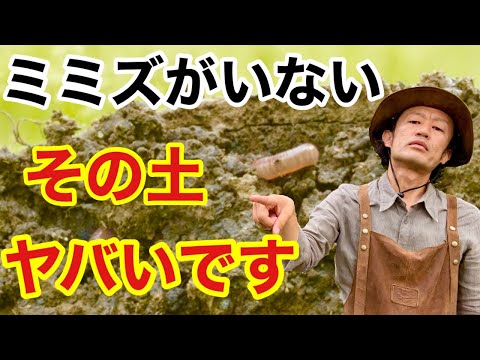 , title : '【みんな知らない】土壌改良するならミミズを使ってください　　　　　【カーメン君】【園芸】【ガーデニング】【初心者】'