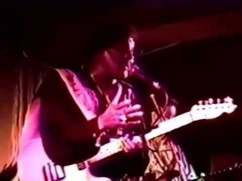 Albert Collins 1992