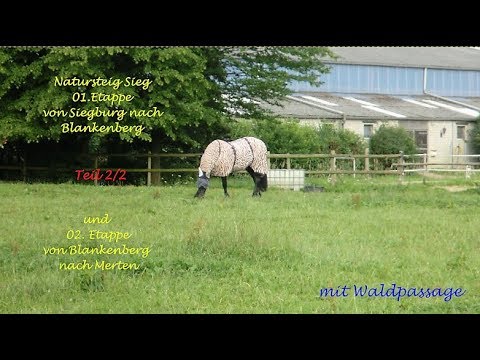 Natursteig Sieg   01 Etappe Teil 2 und 02 Etappe