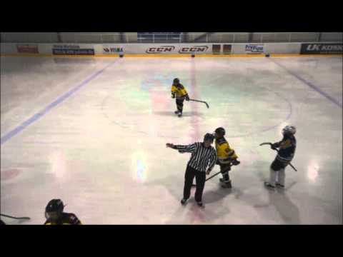 Saipa D02 Jusut vs Silver Lions 3rd period time out