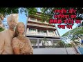 Ranbir Kapoor Aur Alia Bhatt Ka New House In Pali Hill Mumbai Bollywood Actors Home In Mumbai