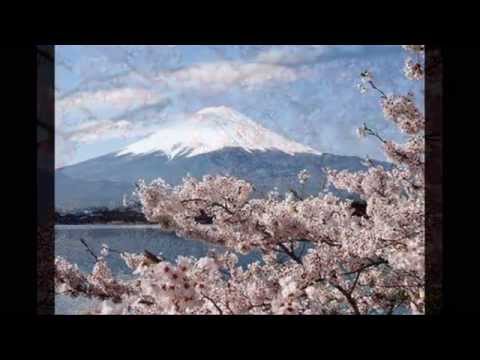 Nguyệt cầm đã dứt - Ngọc Hương