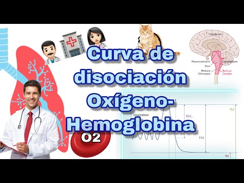 CURVA OXÍGENO-HEMOGLOBINA: FÁCIL!