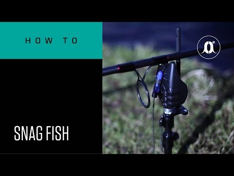 CARPologyTV - How to snag fish