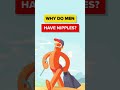 Why Do Men Have Nipples