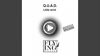 Little Wind (Remix Version)