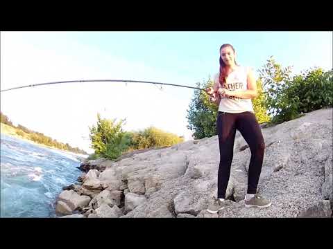 Ribolov mrena varalicom - Fishing barbel with lures