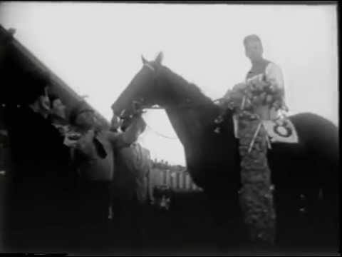 Tribute to Noor - 1950 Hollywood Gold Cup